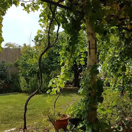 בית הארחה Vjera דוברובניק